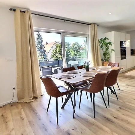 Alsace A Climatisee Garage, Parking Et Terrasse * Colmar