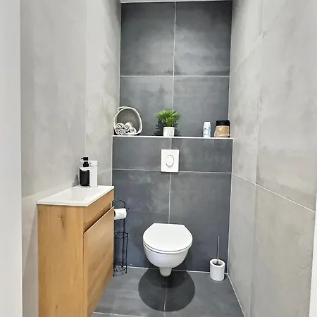 Alsace A Climatisee Garage, Parking Et Terrasse Apartment