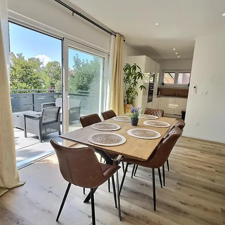 Alsace A Climatisee Garage, Parking Et Terrasse 公寓 *